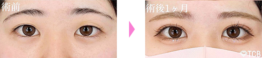 症例実績