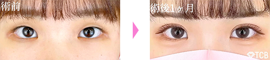 症例実績